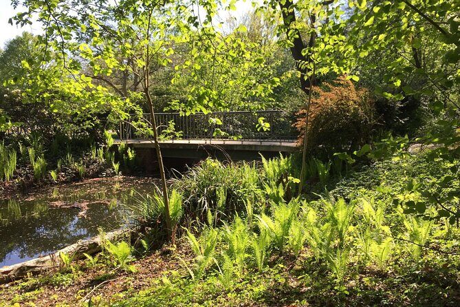 3-Hour Bike Tour of Tiergarten and Berlin's Hidden Places - Märkisches Museum Area and the 3D City-Model View