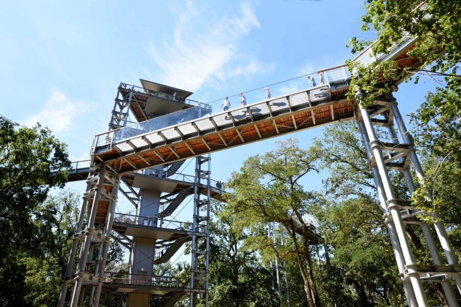 Beelitz-Heilstätten: Baum&Zeit Tree Top Walk Entry Ticket - WWII Ruins and the Alpenhaus Roof Canopy Forest Since 1945