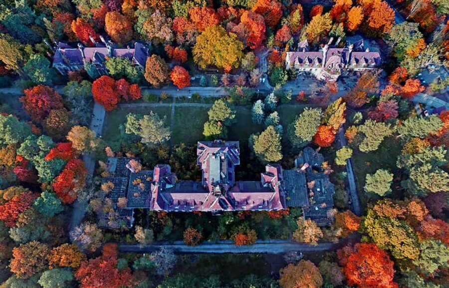 Beelitz-Heilstätten: Baum&Zeit Tree Top Walk Entry Ticket - Optional Guided Tours: Add the Buildings If You Want More Story