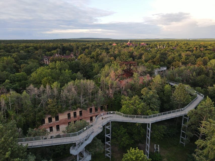 Beelitz-Heilstätten: Baum&Zeit Tree Top Walk Entry Ticket - Price and Time: Is This $19 Ticket Good Value?
