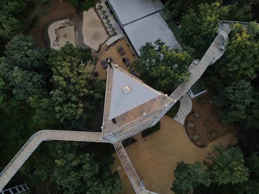 Beelitz-Heilstätten: Baum&Zeit Tree Top Walk Entry Ticket - Who This Suits Best (and Who Might Want to Rethink It)