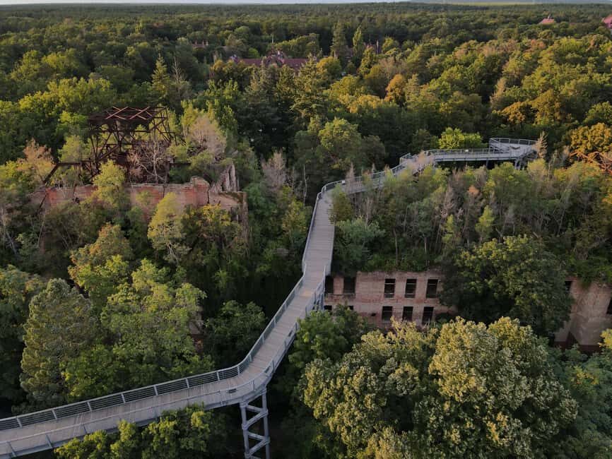 Beelitz-Heilstätten: Baum&Zeit Tree Top Walk Entry Ticket - The 700-Meter Baum&Zeit Treetop and Time Trail: Forest Walk, Higher Up
