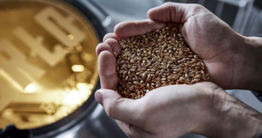 Berlin: BRLO BRWHOUSE Tour and Craft Beer Tasting - Tips to get the most out of your BRLO tour