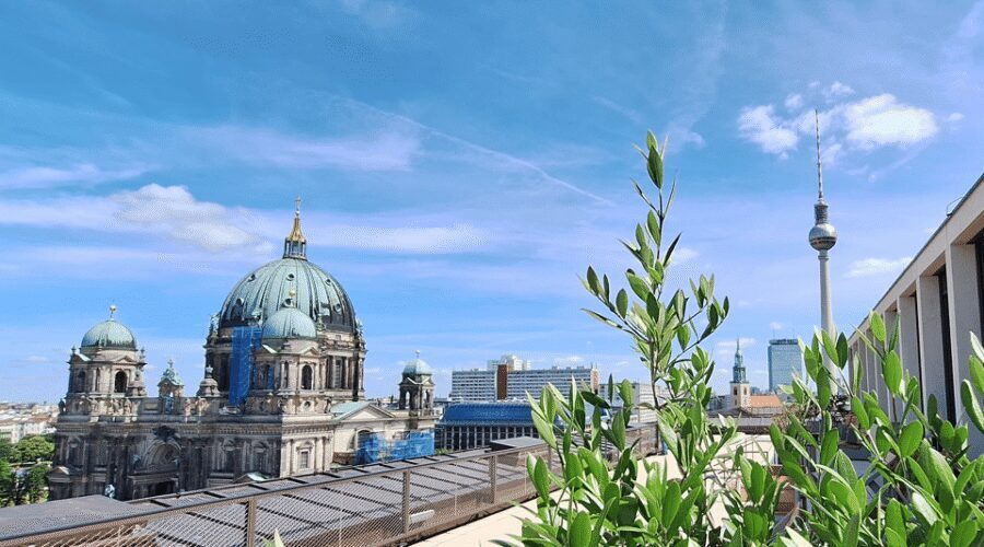 Berlin: City Highlights Express & Panorama Roof Terrace - Royal Berlin Photo Moments That Keep the Route Fun