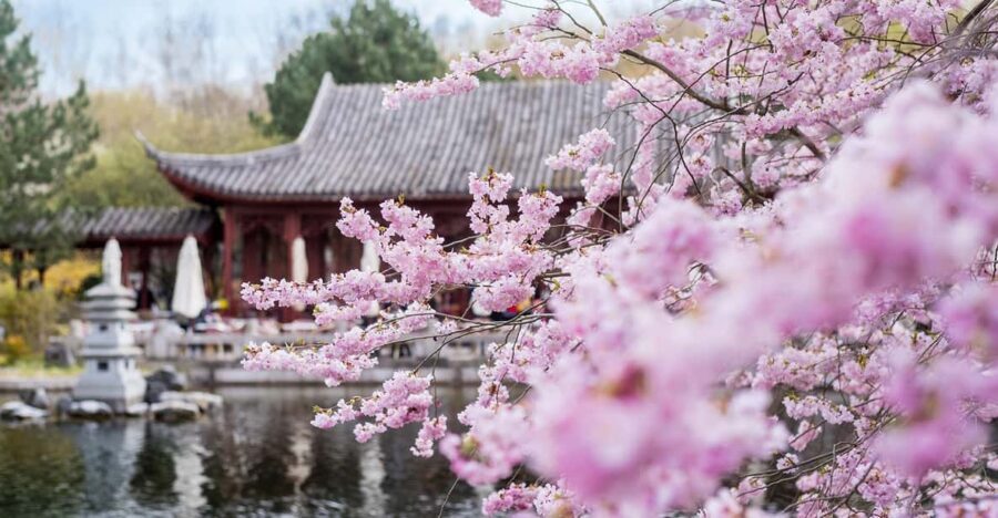Berlin: Gärten der Welt Guided Tour - What you’ll see: Chinese, Christian, Balinese, plus England and China themes