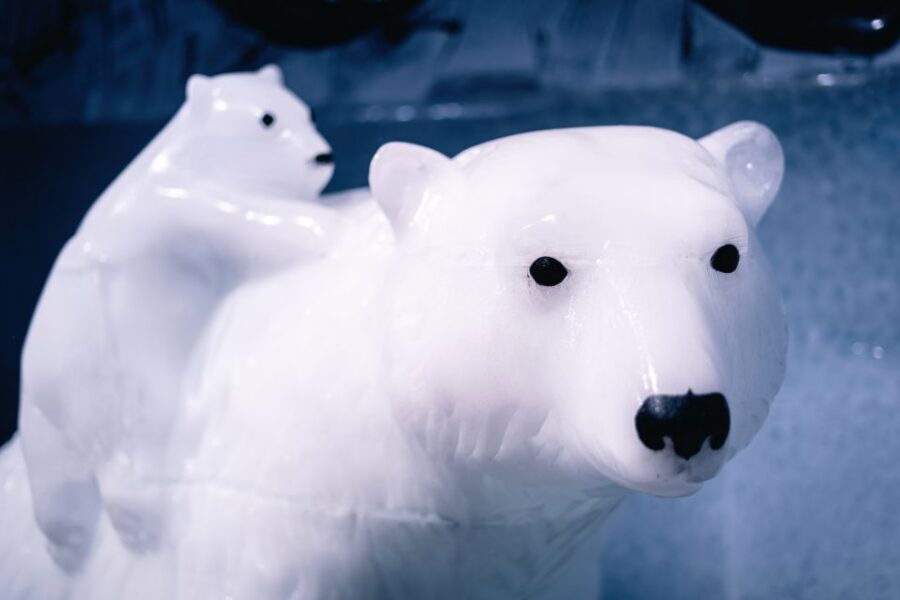 Berlin: Hop-On Hop-Off Bus and Icebar Ticket Combo - Ride With Audio: The Real Bonus of a Multi-Language Guide
