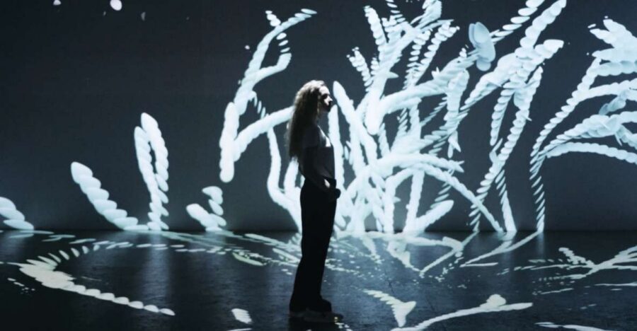 Berlin: Lighthouse of Digital Art Ticket - Key things to know before you go