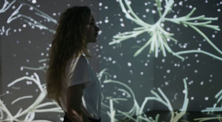 Berlin: Lighthouse of Digital Art Ticket - Practical tips that make the difference