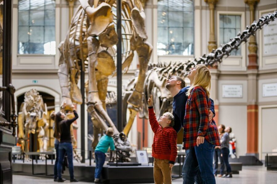 Berlin: Natural History Museum Entrance Ticket - Your 45-minute game plan: a practical route that works