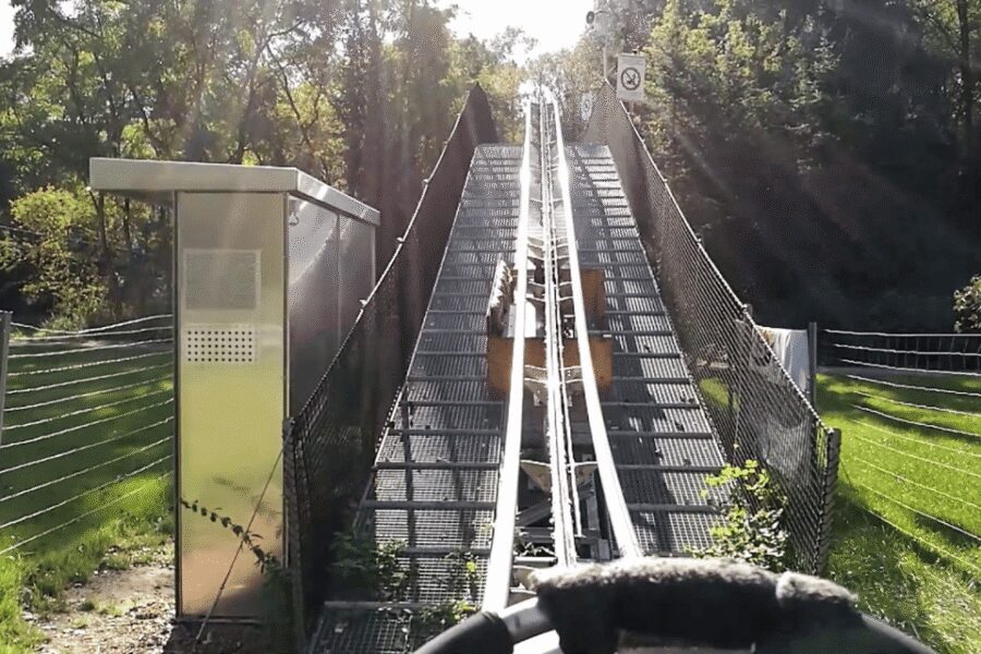 Berlin: Nature Bobsled Run Ticket - Is it worth the money? The value equation for a Berlin quick-thrill