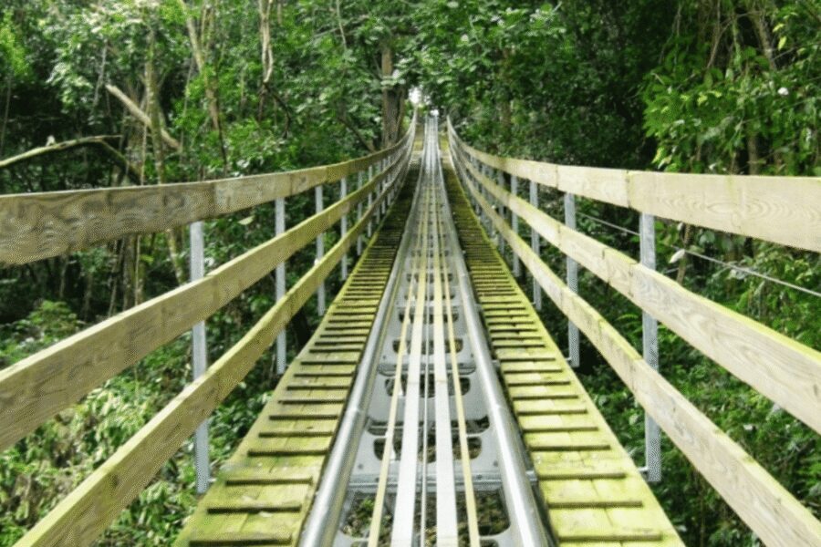 Berlin: Nature Bobsled Run Ticket - Should you book the Berlin Nature Bobsled Run ticket?