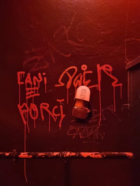 Berlin: Premium Underground Party Tour - Should You Book the Premium Underground Party Tour?