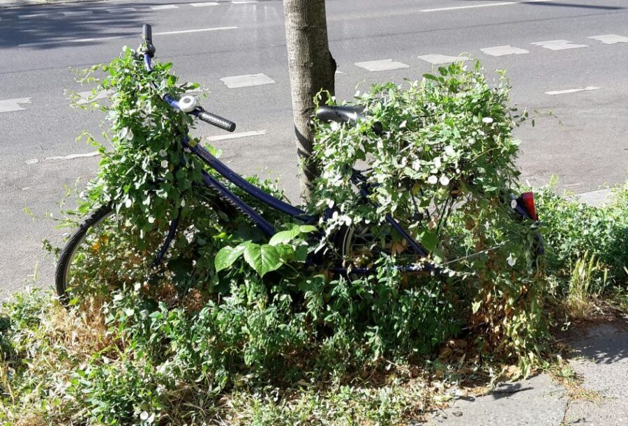 Berlin: Street Art and Alternative Tour - Should you book this Berlin Street Art and Alternative Tour?