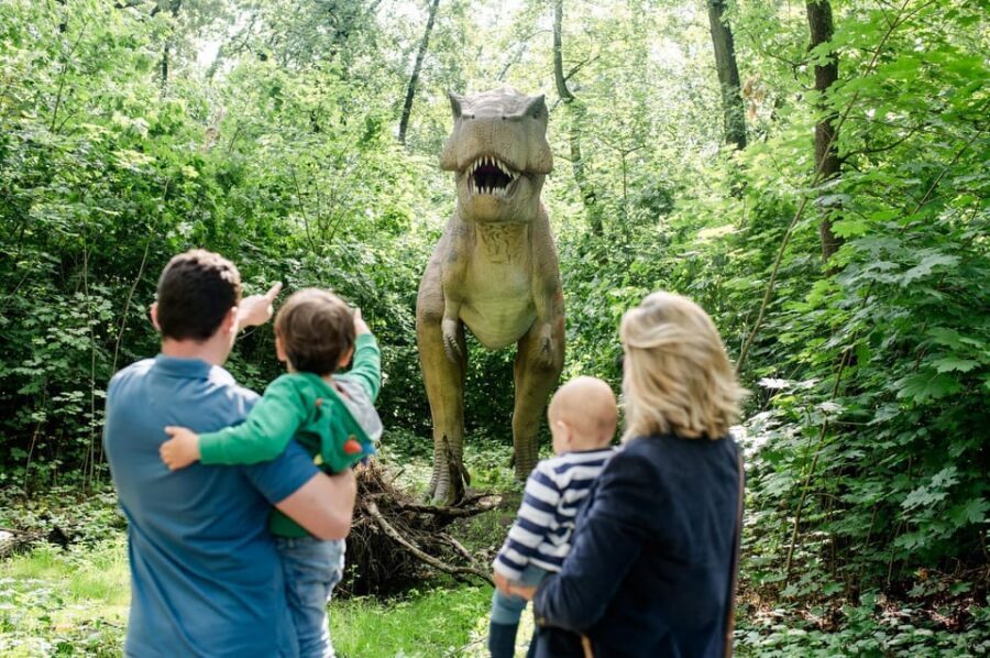Berlin: Tickets for the Tierpark in East Berlin - Tierpark vs Zoo: the East Berlin detail that saves your day