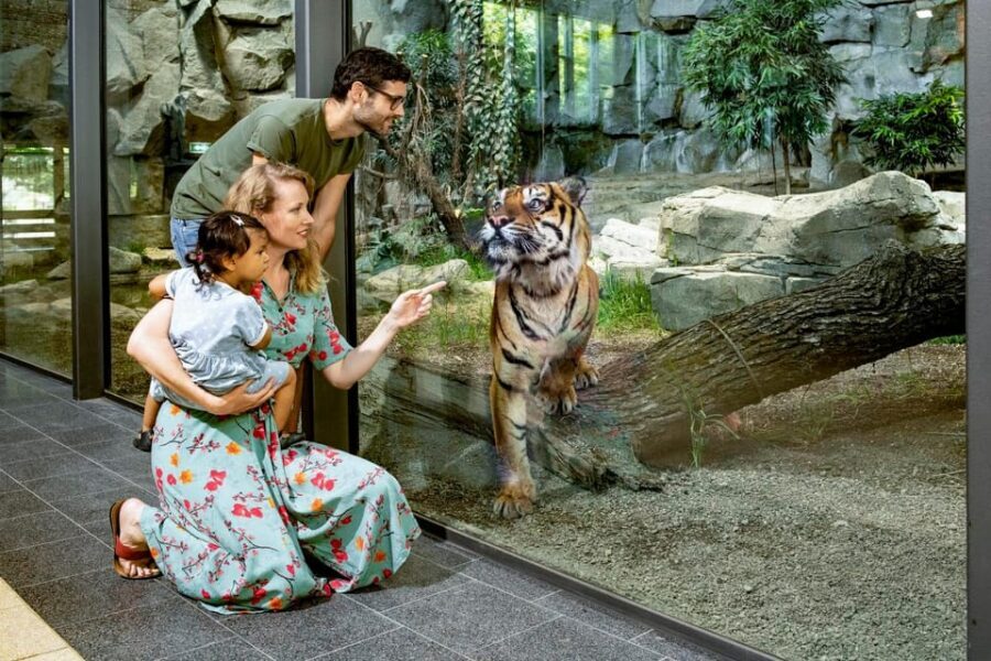 Berlin: Tickets for the Tierpark in East Berlin - Getting there near Alexanderplatz: U-Bahn, tram, and parking