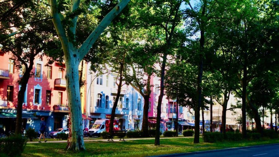 Berlin: Vegan Food & Cultural Walking Tour in Friedrichshain - Who This Tour Fits and Who Should Skip It