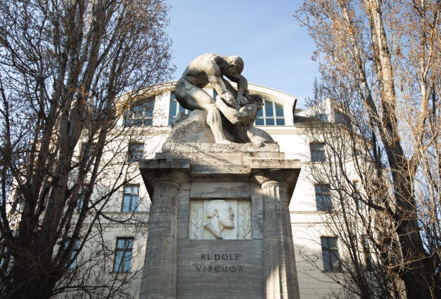 Berlin: walking tour about Charité - Nazi-era medicine: the hard chapter you should expect