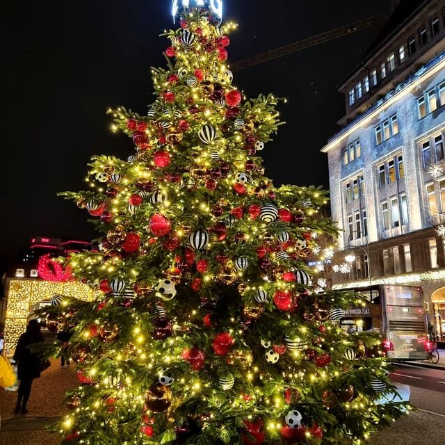 Christmas market lights tour bus through Berlin, free mulled wine (2.5 hours) - Who this tour suits best