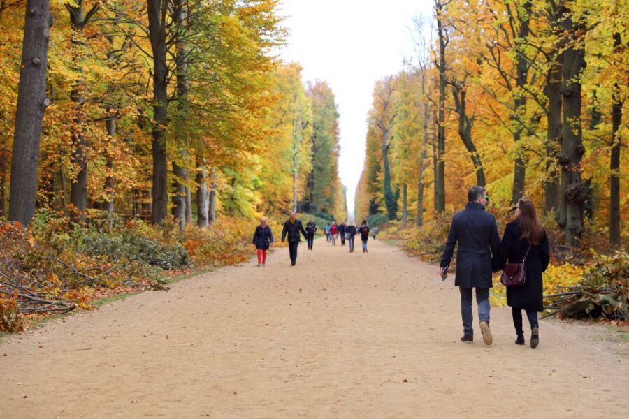 From Berlin: Historical Gems of Potsdam Private Day Trip - Price and value: is $245 per person worth it?