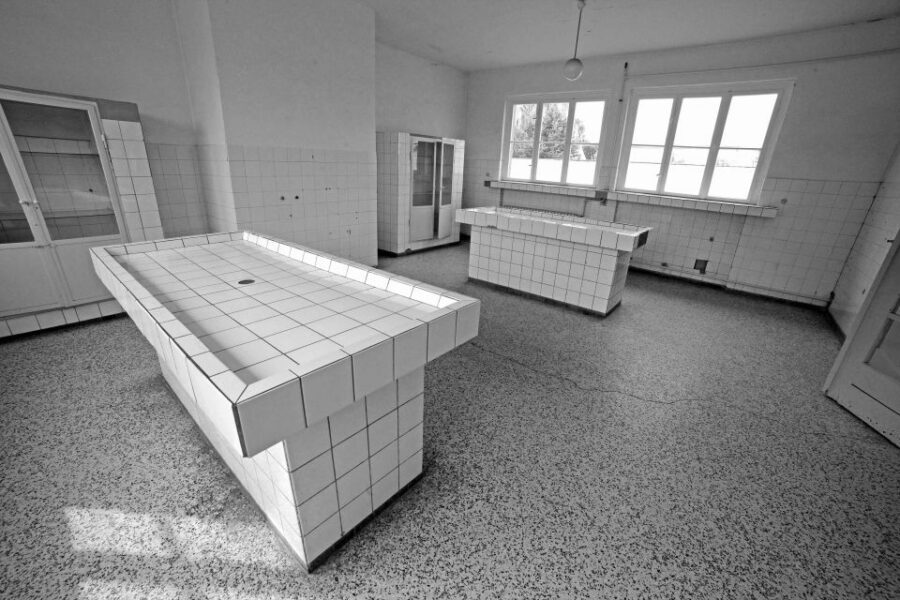 From Berlin: Licensed Sachsenhausen Tour with max. 15 people - Jewish Barracks, Prison Facilities, and the Evidence of Everyday Cruelty