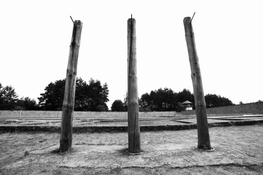 From Berlin: Licensed Sachsenhausen Tour with max. 15 people - Oranienburg and the Train Back: How the Day Actually Unwinds