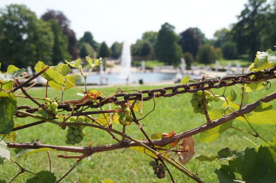 From Berlin: Potsdam Half-Day Tour in Spanish - Why Potsdam feels different with a Spanish guide
