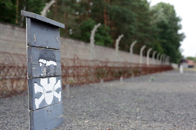 Private Berlin Tour to Sachsenhausen Concentration Camp Memorial - Who this tour is best for