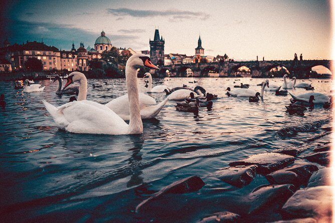 Private Transfer from Berlin to Prague with 2h of Sightseeing - Vehicle options and luggage: choose based on comfort, not just seats
