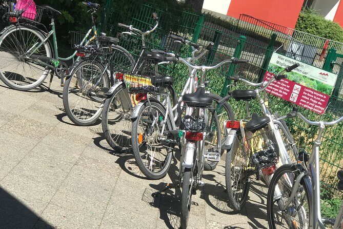 Small-Group Historical Bike Tour in Berlin - Oranienburgerstraße and the Jewish New Synagogue Story
